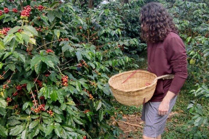 Coffee and Hot Spring in Ruta de Flores and Albania Labirint
