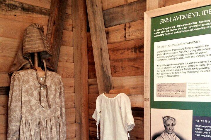 Full Day Plantation and Swamp Tour in New Orleans
