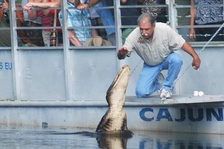Full Day Plantation and Swamp Tour in New Orleans