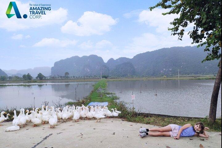 Full Day Private Tour in Ninh Binh(Trang An-Bich Dong-Mua Cave)
