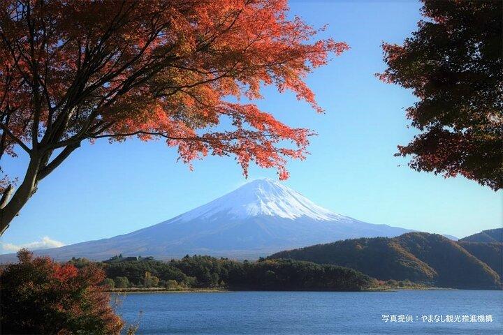 Mt. Fuji, Oishi Park & Arakurayama Pagoda Bus Tour with Lunch