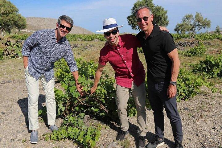 Santorini Sunset Wine Tour with Santo Winery Views