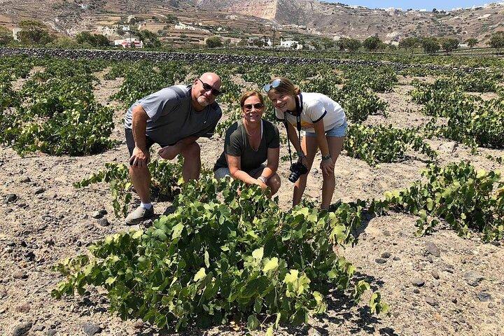 Private Santorini Sunset Wine Tour with Tastings and Tapas
