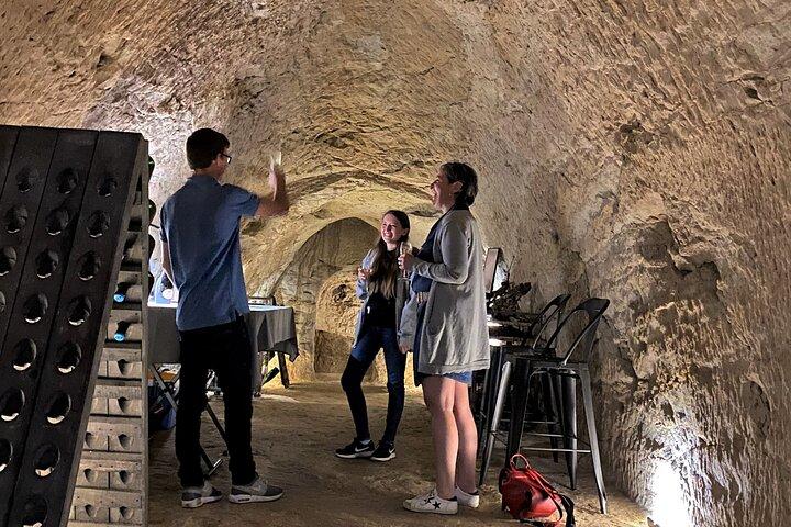 The Secrets of Champagne by a Passionate Winemaker (English)