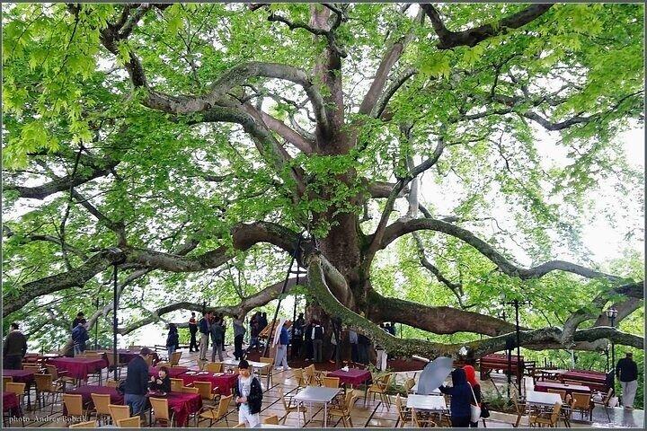 Full-Day Bursa City Tour from Istanbul with Lunch