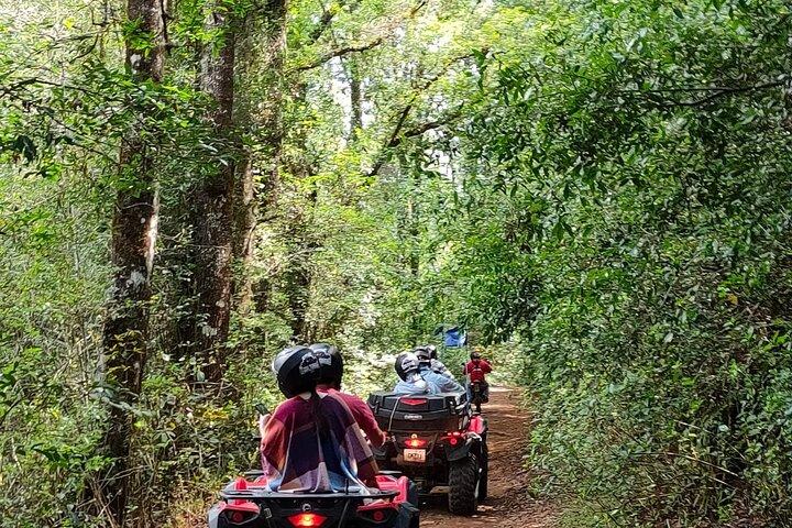 From Puebla: Private Tour in Zacatlan + raizer tour