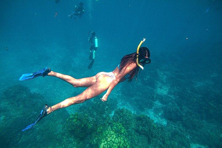 El Cielo Cozumel Snorkel Private Boat + Food + Drinks + Beach