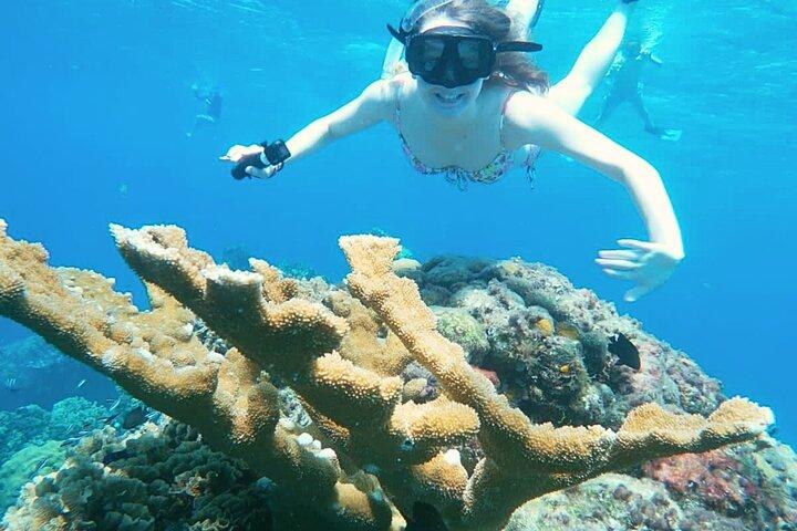 El Cielo Cozumel Snorkel Private Boat + Food + Drinks + Beach
