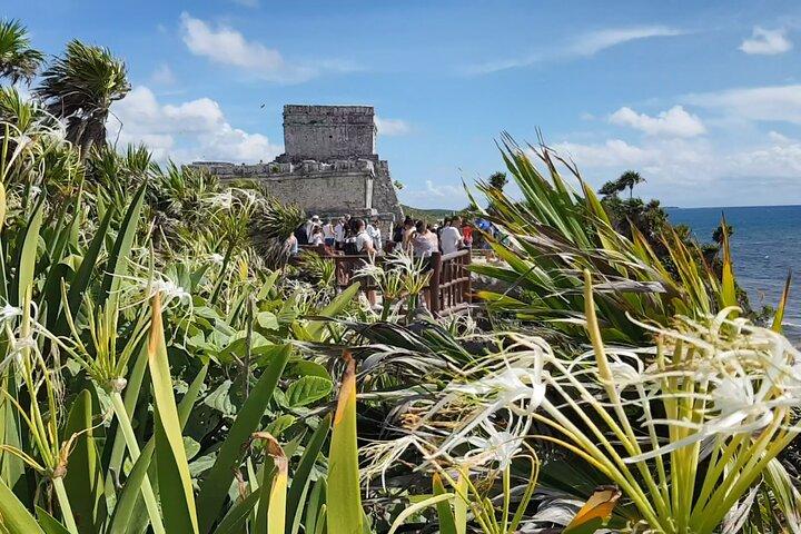 Playa del Carmen Jungle Tour: Tulum, Cenote Snorkeling, Ziplining and Lunch