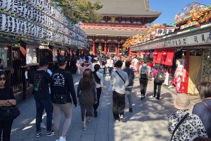Tokyo Half Walking Day Tour with a Local Expert Guide