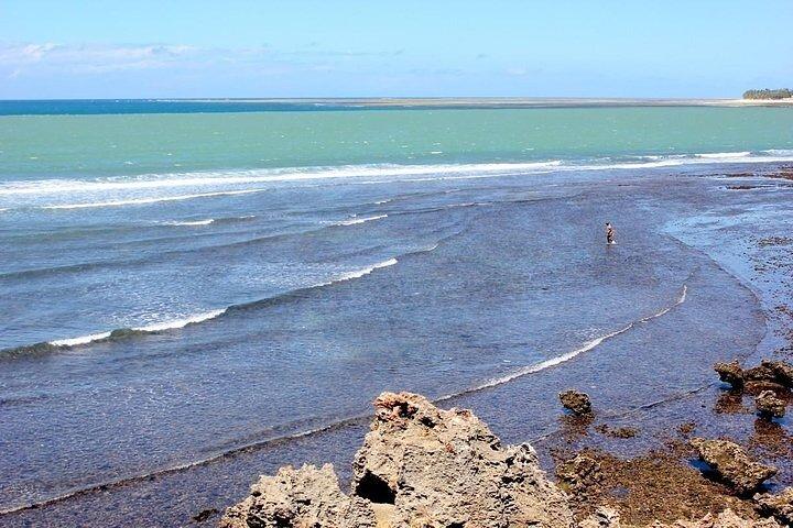 Full Day Private Mombasa Tour and Excursions