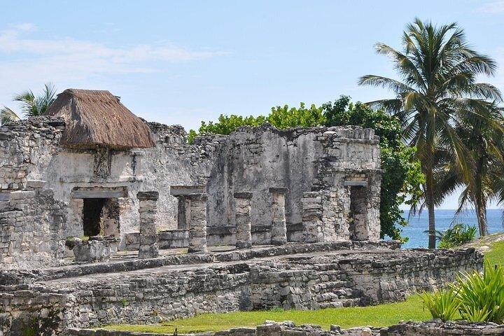 5x1 Tour: Tulum Coba Cenote Mayan Village and Playa del Carmen