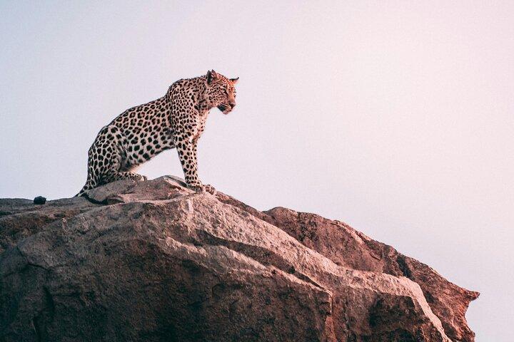 The Best 2-Days 1-night Tanzania Budget Group Joining Safari Tour