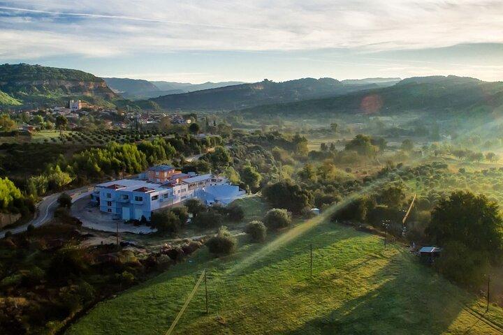 Olympia's Ancient Secrets & Wine Tasting Experience