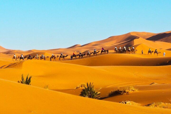 Exclusive Merzouga Desert Safari: Camel Ride, Sandsurf & Dinner