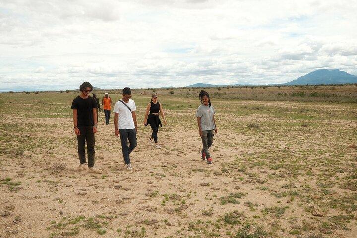 Walking Day Tour to Safari in Arusha National Park