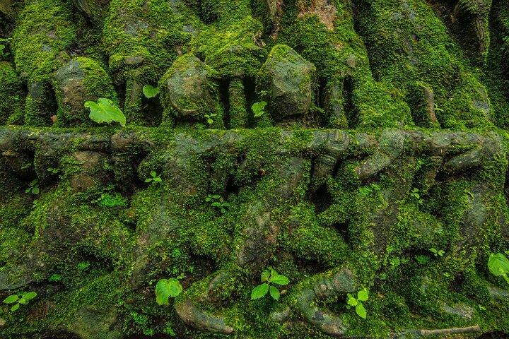 Full-Day Beng Mealea, Kbal Spean & Banteay Srei Private Tour