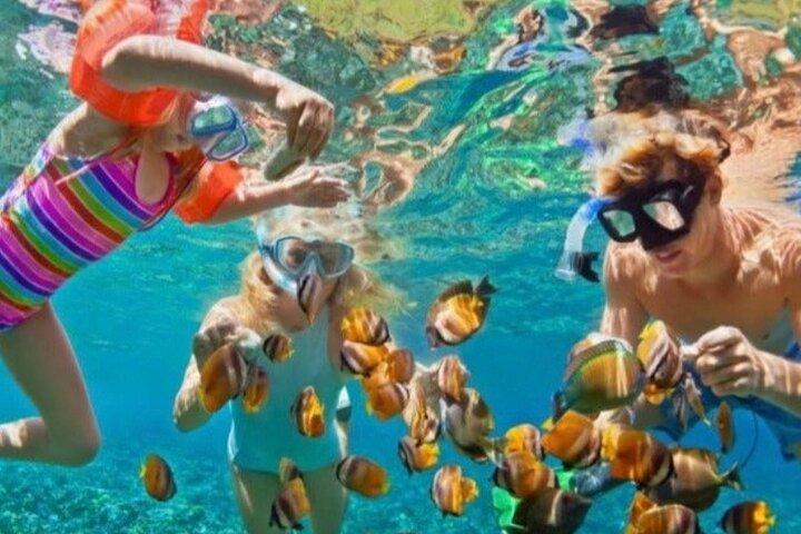 Private St. Lucia Boat Tour: Snorkeling & Pitons Sightseeing