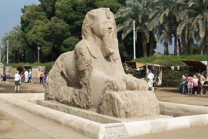 Private Multi Day Tour Safari Adventures in Egypt Oasis