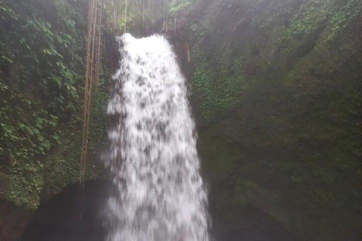 CRETYA Ubud infinity Pool + Hidden Water fall + Water Temple Tour