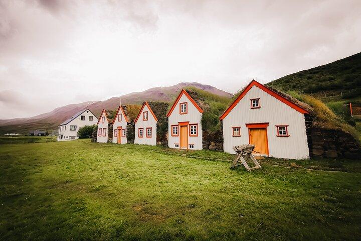 Cruise Tour Godafoss Turf Houses and Forest Baths Small Group