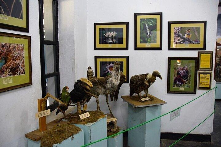 Full Day Arusha City Private Tour on Cultural Heritage House