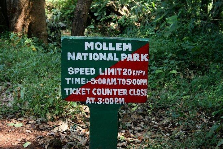 Dudhsagar Falls Private Day Tour From South Goa