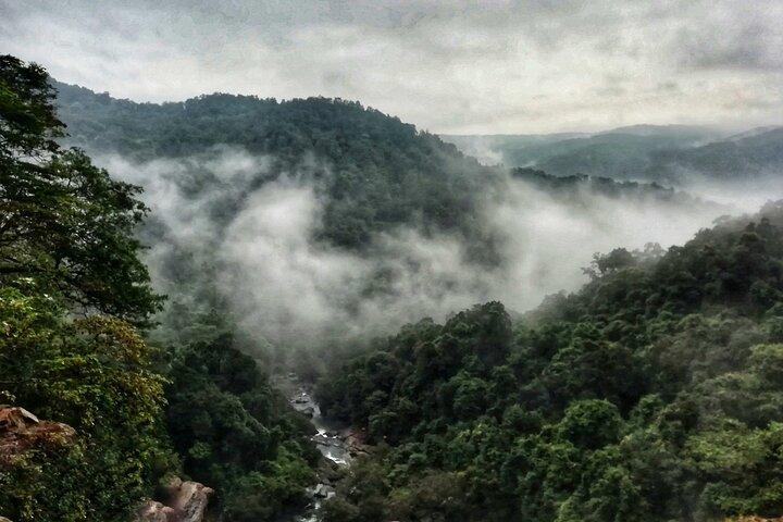 Dudhsagar Falls Private Day Tour From South Goa