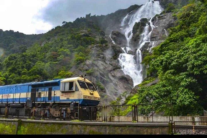 Dudhsagar Falls Private Day Tour From South Goa