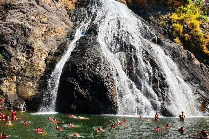Dudhsagar Falls Private Day Tour From South Goa