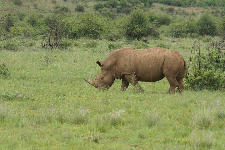 2 Days Mid Range Private Safari in Tarangire and Ngorongoro
