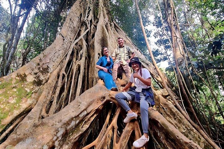 Bangkok: Khao Yai Nature Trails & Heaw Suwat Waterfall