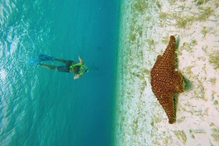 Cozumel Catamaran tour to El Cielo Beach