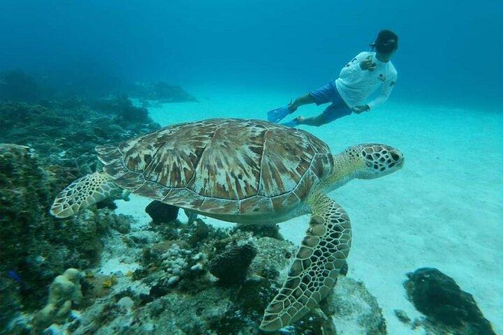 Cozumel Catamaran tour to El Cielo Beach