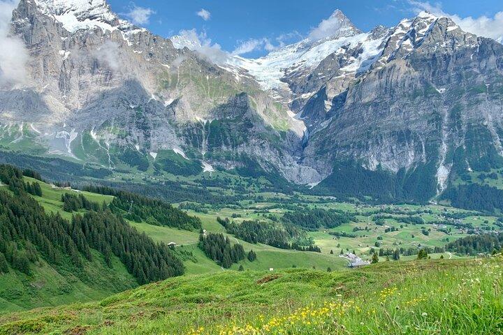 Grindelwald First and Bachalpsee Hiking Tour | From Interlaken