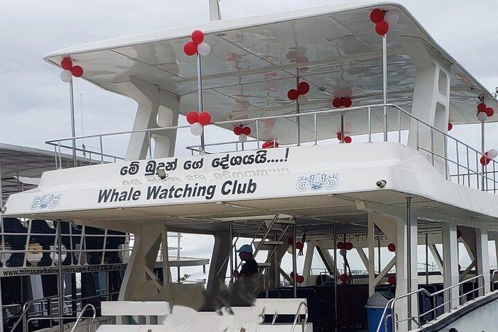 Mirissa Whale watching tour from Colombo/Negombo with Breakfast