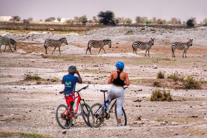 Cycling Lake Manyara