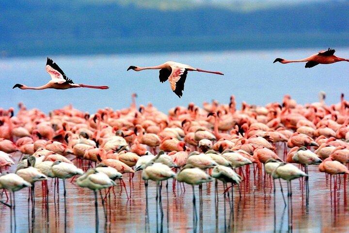 Cycling Lake Manyara