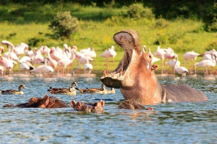 Day Tour To Lake Naivasha and Hell's Gate National Park