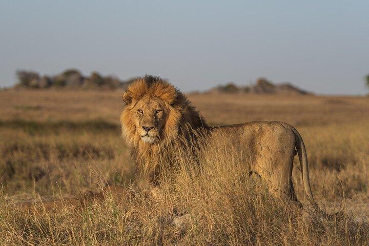 Private 3 Days 2 Nights Amboseli National Park Tour