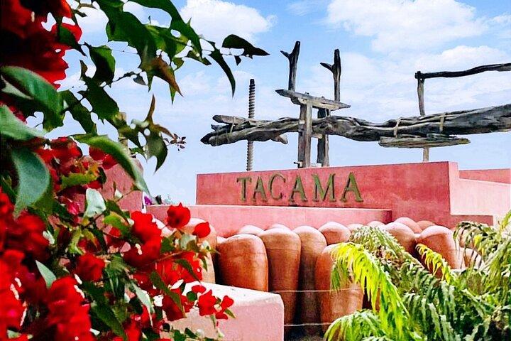 Tacama Winery: Don Manuel Tour with Tasting