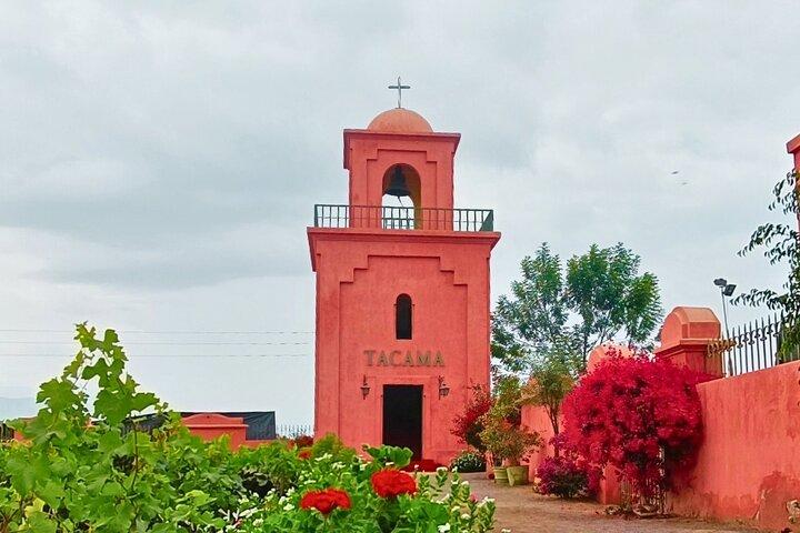 Tacama Winery: Don Manuel Tour with Tasting