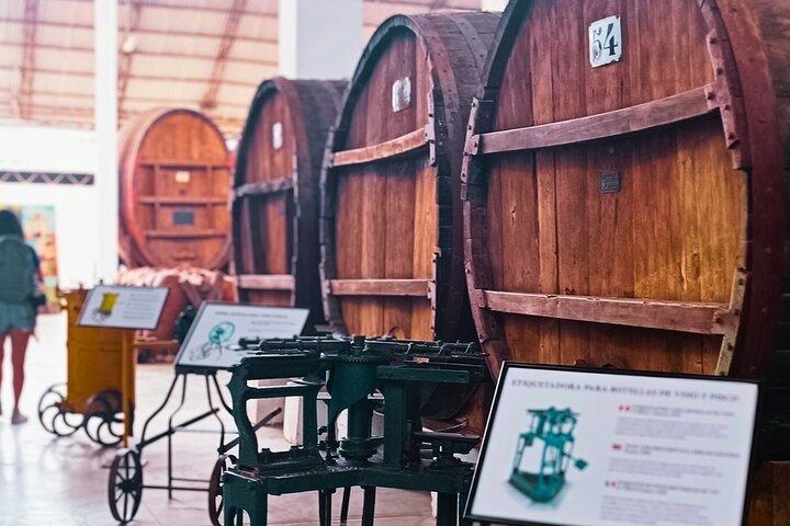 Tacama Winery: Don Manuel Tour with Tasting