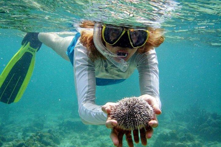 Nha Trang Bay: Explore Half-day Snorkeling at Coral Reef