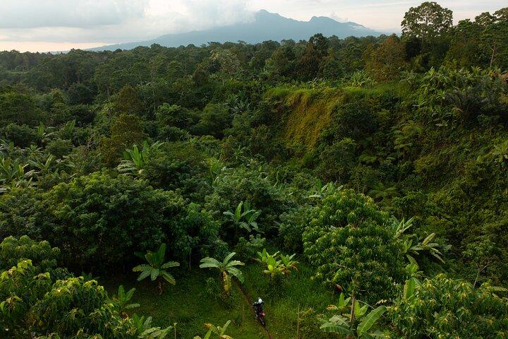 Lombok Off Road Dirt Biking and Enduro Trails Adventure