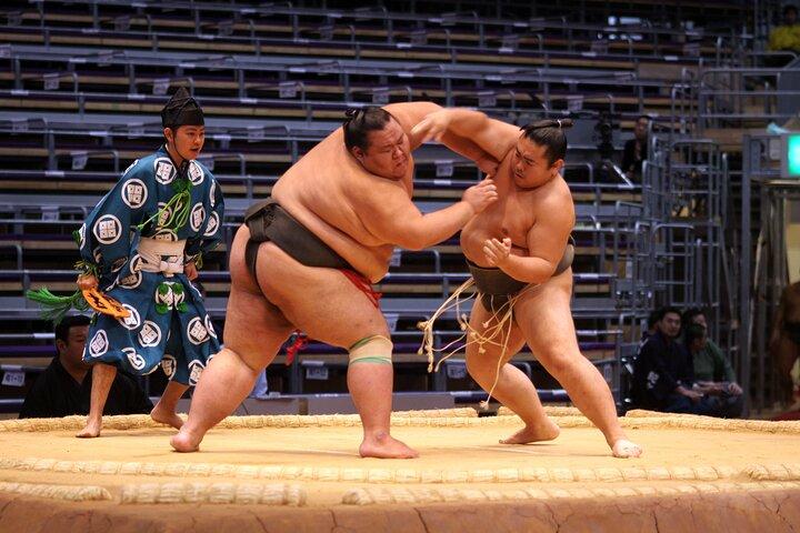 Sumo Wrestling Chair Seats & ExpertGuide | Tokyo Sep