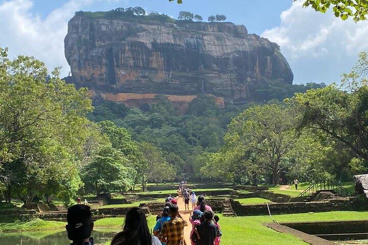 From Colombo to Sigiriya Fortress, Dambulla & Minneriya Safari