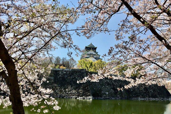 Three-Hour Private Guided Tour to Osaka Castle