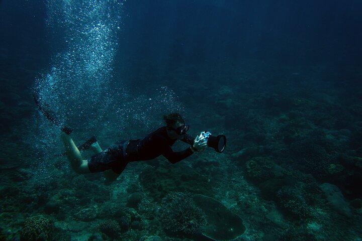 Dubai: Scuba Diving Adventure