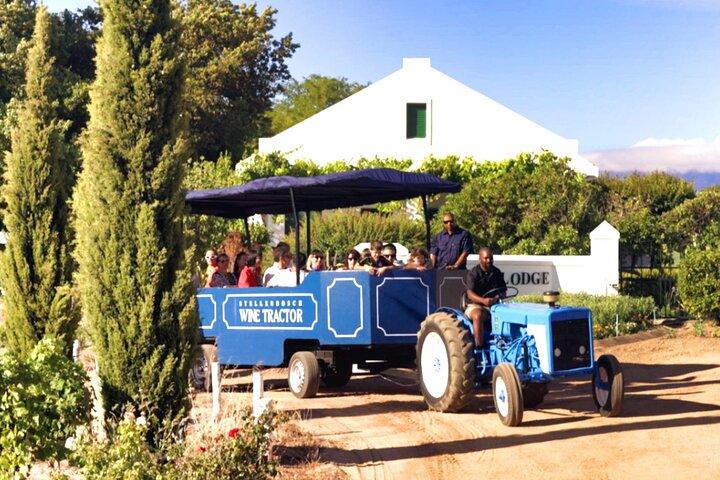 Stellenbosch Wine Tractor hop-on-hop off wine tasting tour
